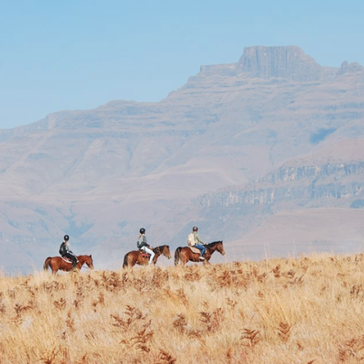 Ushaka Horse Trails